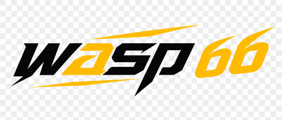 WASP 66
